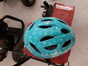 Bicycles Helmets Japan Used On Sale