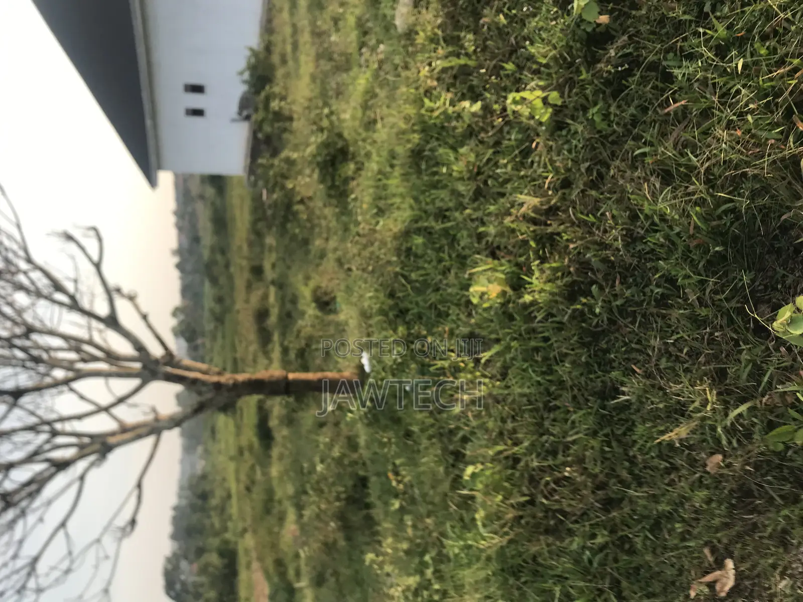 11decimals Plot for Sale in Wakiso Namusera