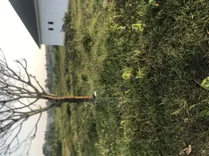 11decimals Plot for Sale in Wakiso Namusera