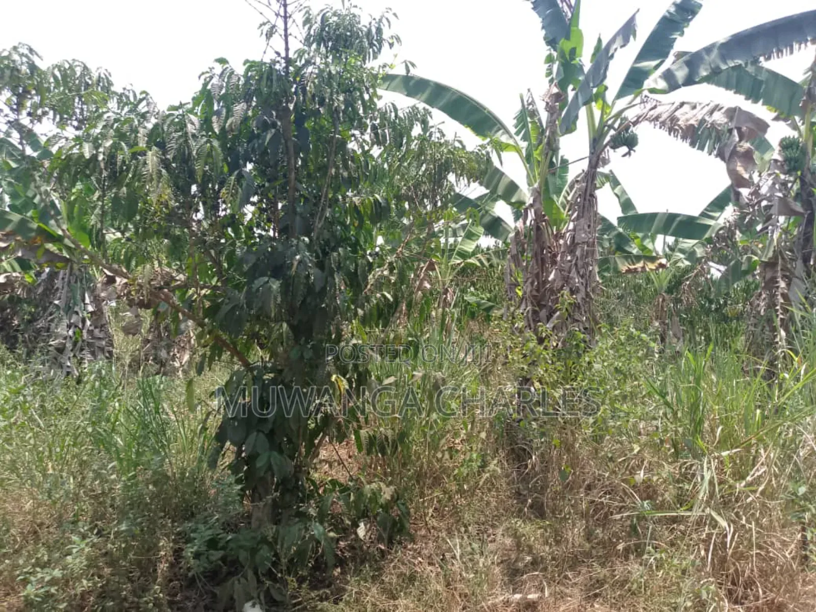 Plot for Sale in Gayaza Busiika