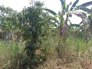 Plot for Sale in Gayaza Busiika