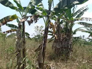 Plot for Sale in Gayaza Busiika