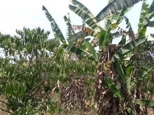 Plot for Sale in Gayaza Busiika
