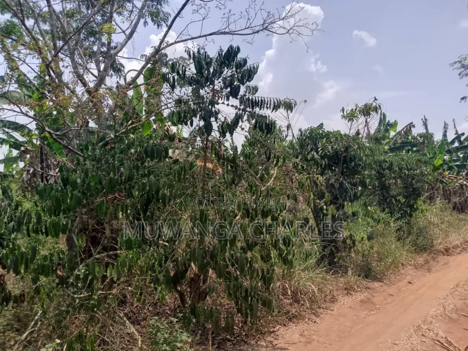 Plot for Sale in Gayaza Busiika