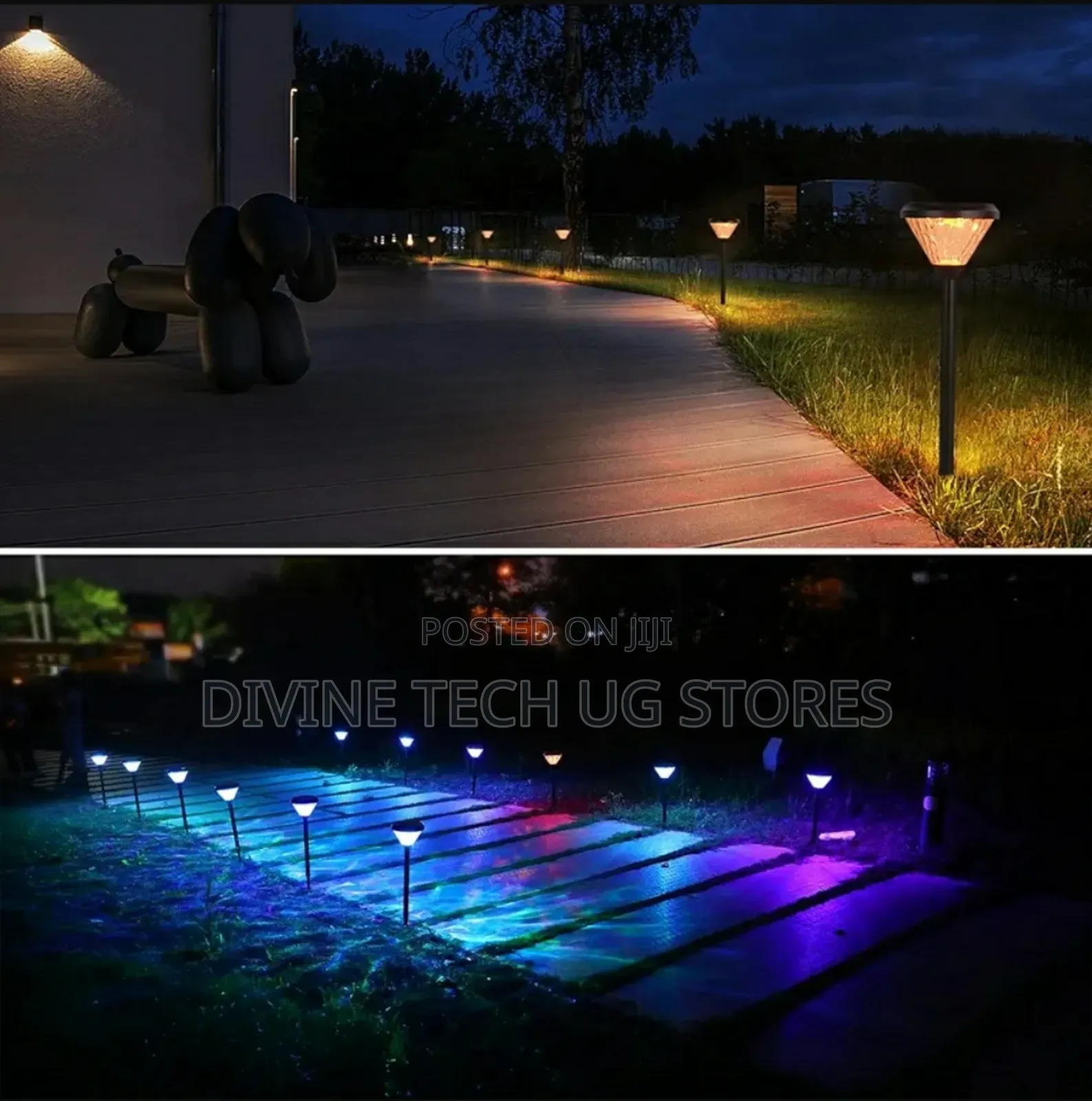 Solar Light Outdoor Ip65 Waterproof Solar Garden Lights