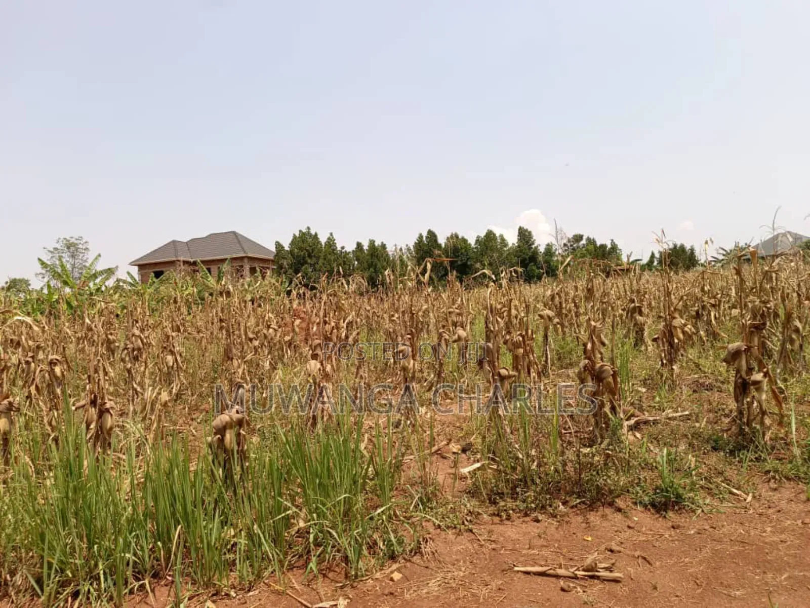 Plot for Sale in Bugema