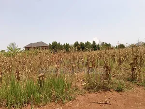 Plot for Sale in Bugema