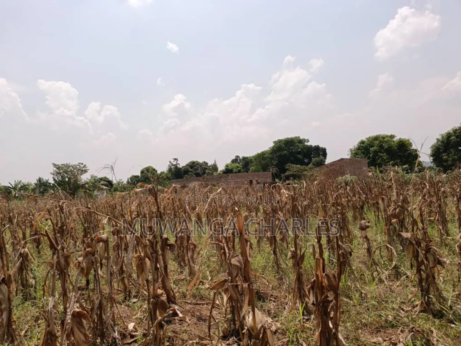 Plot for Sale in Bugema