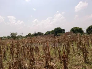 Plot for Sale in Bugema