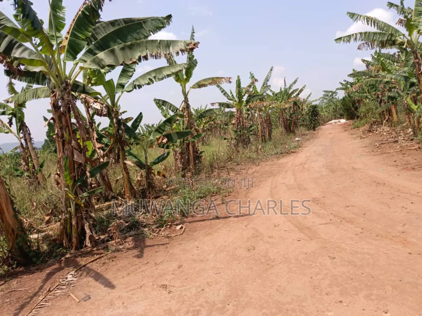 Plot for Sale in Bugema