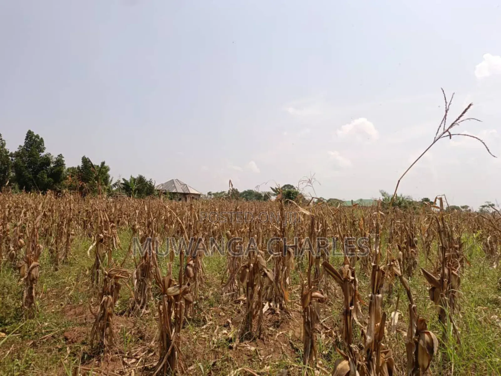 Plot for Sale in Bugema