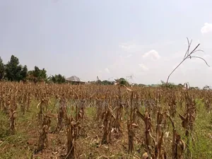 Plot for Sale in Bugema