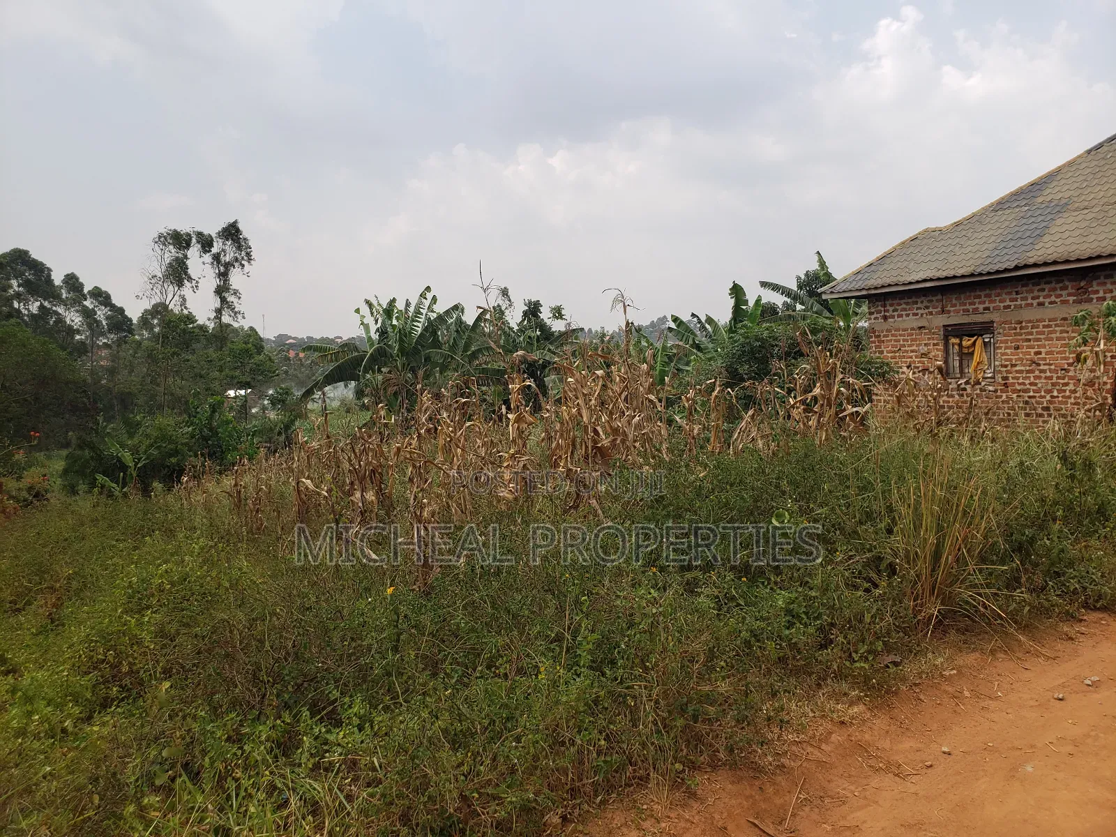 Plot for Sell Mpelerwe Kitagobwa 40m
