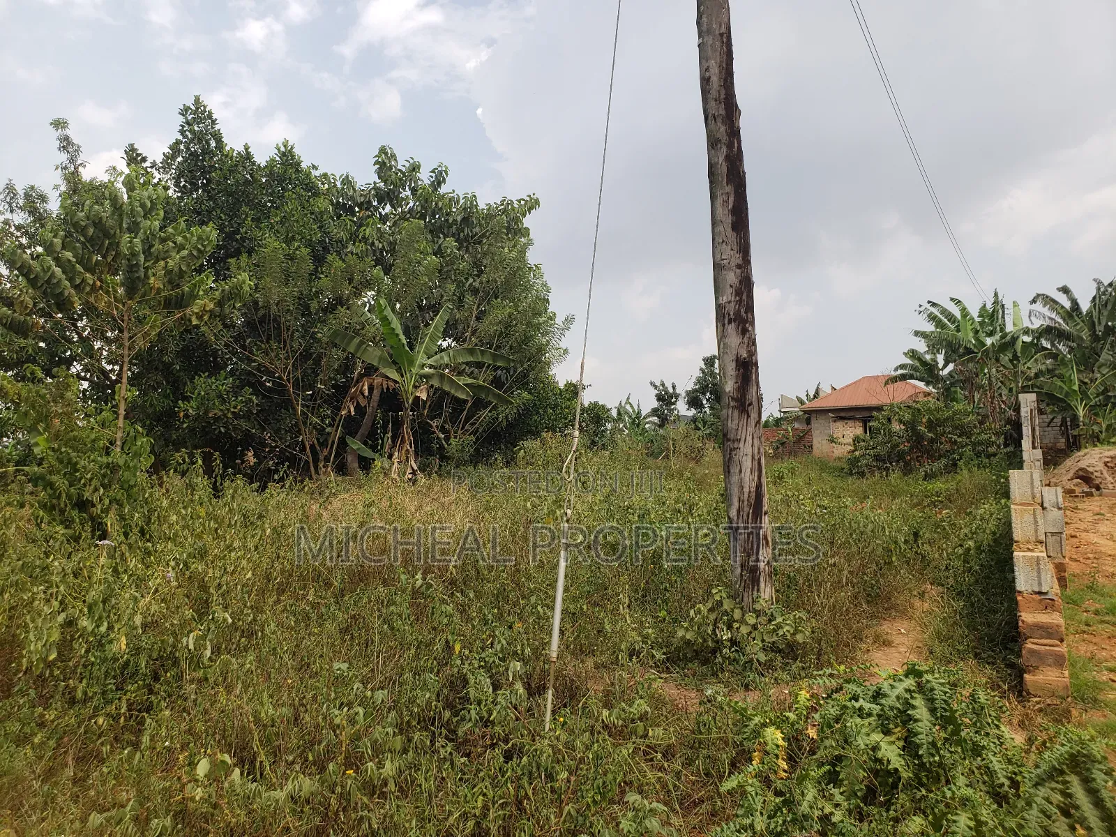 Plot for Sell Mpelerwe Kitagobwa 40m