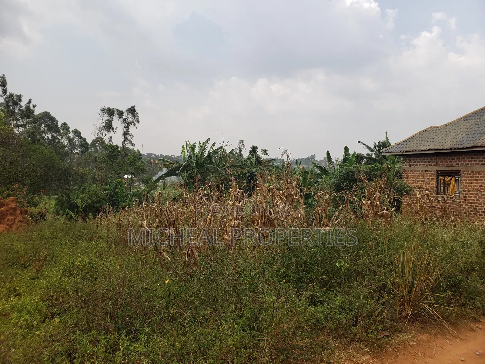 Plot for Sell Mpelerwe Kitagobwa 40m