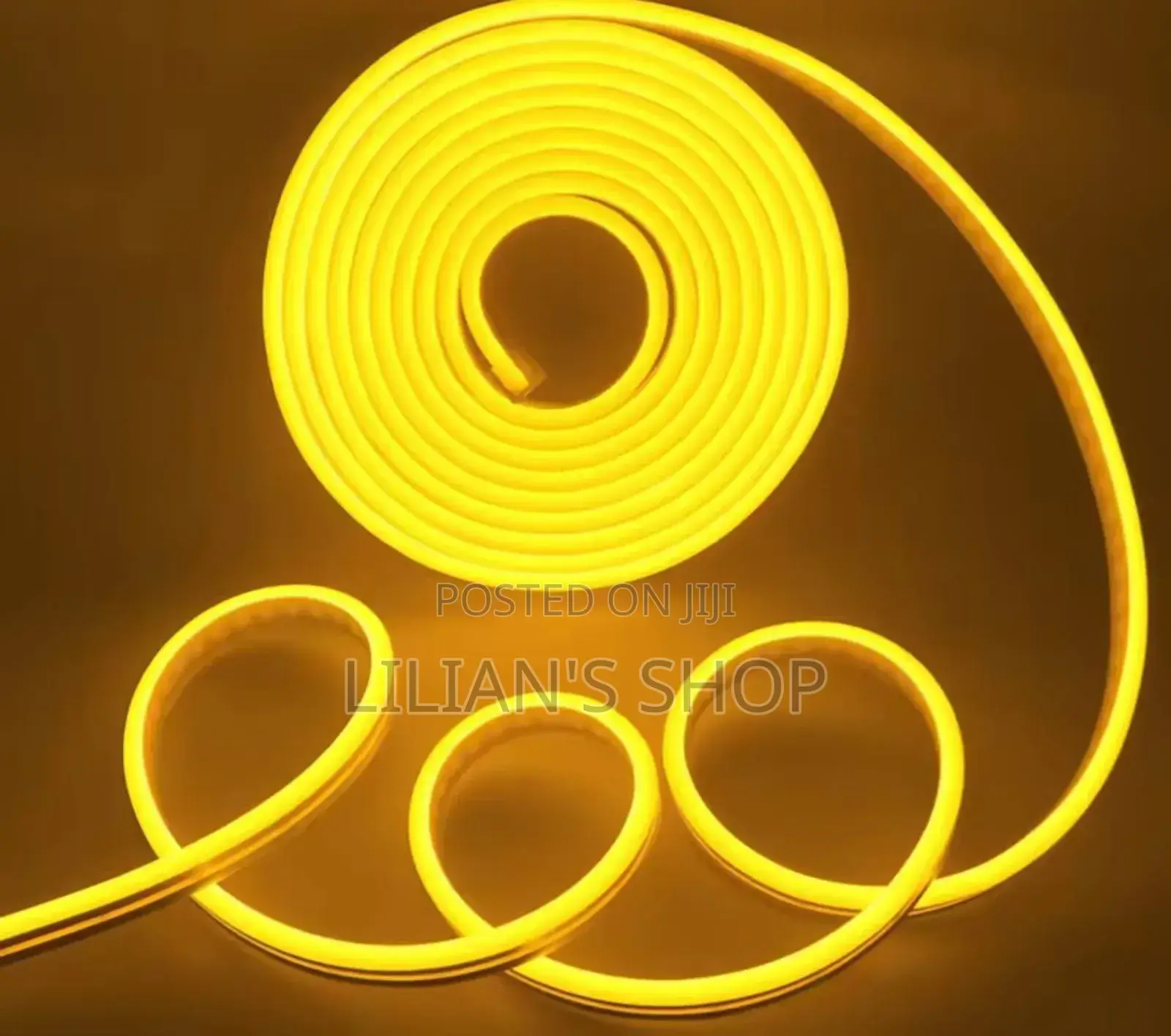 5m Flexible Waterproof Indoor/Outdoor Neon Led Strip Light