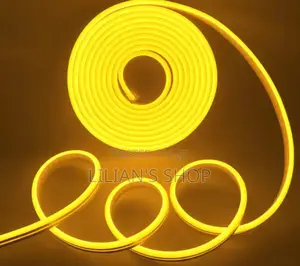 5m Flexible Waterproof Indoor/Outdoor Neon Led Strip Light