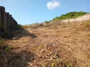Mixed Use Land for Sale With Access to the Tarmac