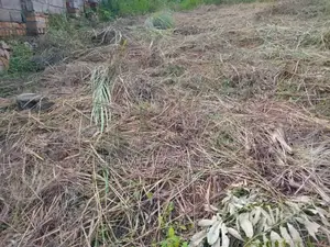 Mixed Use Land for Sale With Access to the Tarmac