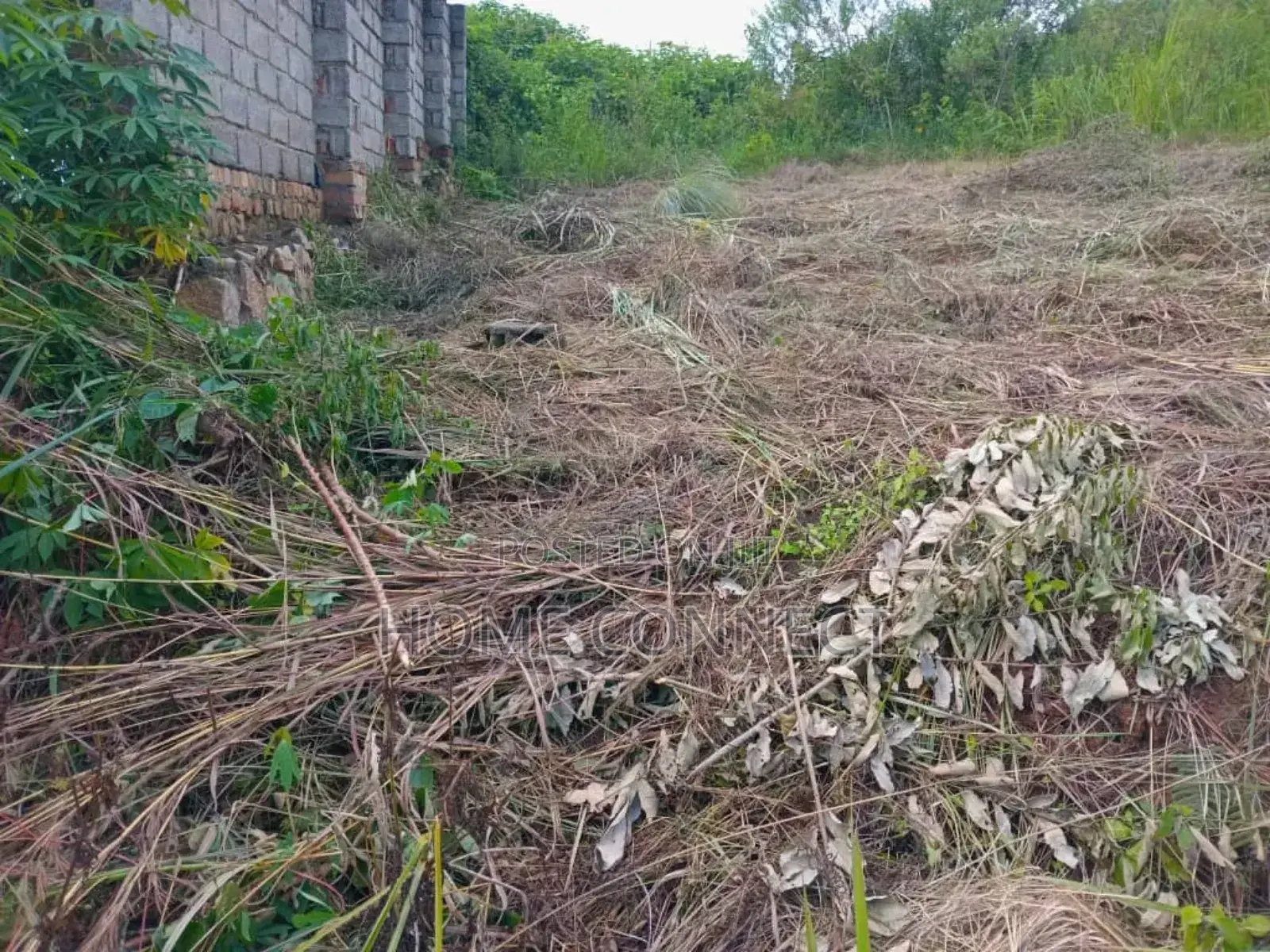 Mixed Use Land for Sale With Access to the Tarmac