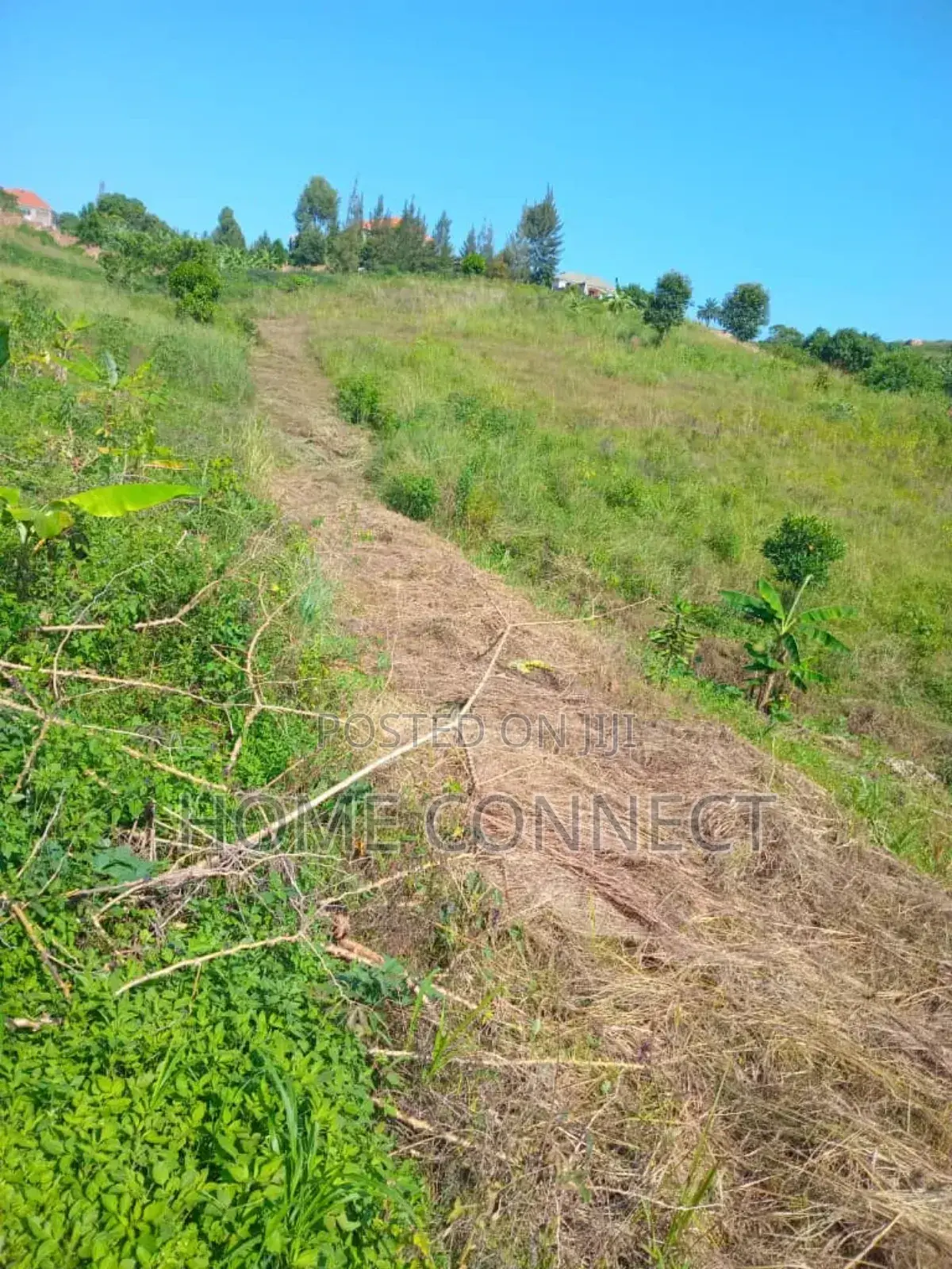 Mixed Use Land for Sale With Access to the Tarmac