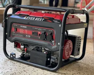 Gasoline Generator(Everbest)