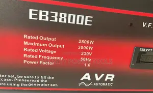 Gasoline Generator(Everbest)