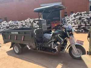New Tricycle 2025 Green