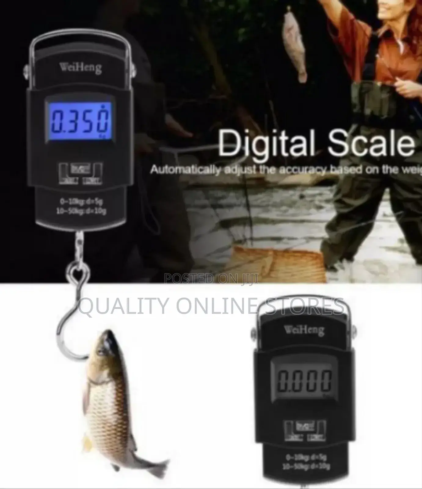 Portable Digital Scale