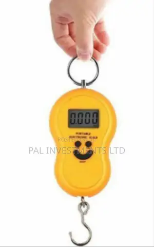 Photo - Mini Hanging Scale