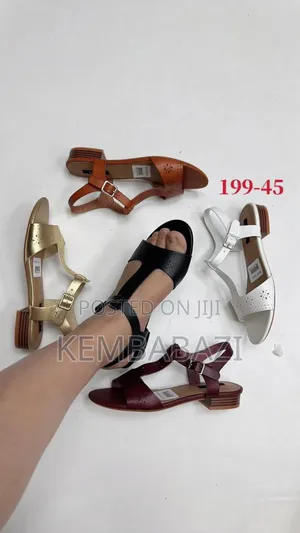 Ladies Classy Shoes