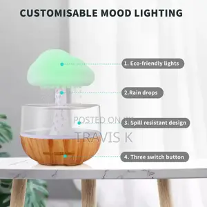 Mushroom Humidifier