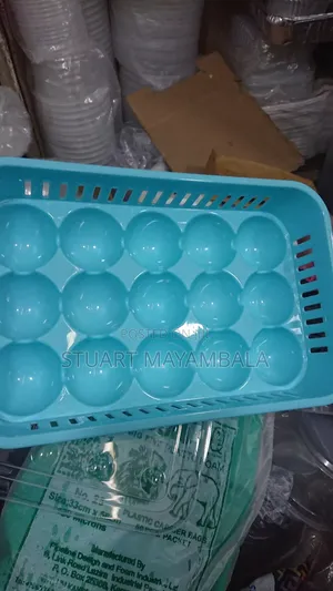 Duleble Plastic Egg Tray