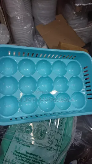 Duleble Plastic Egg Tray