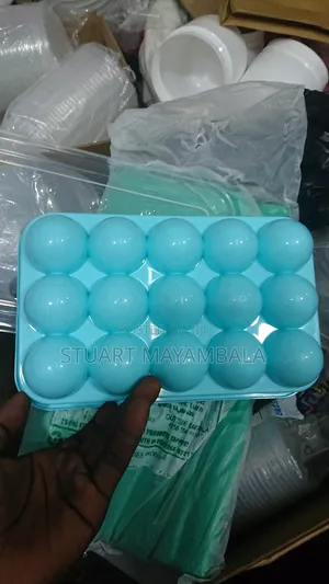 Duleble Plastic Egg Tray