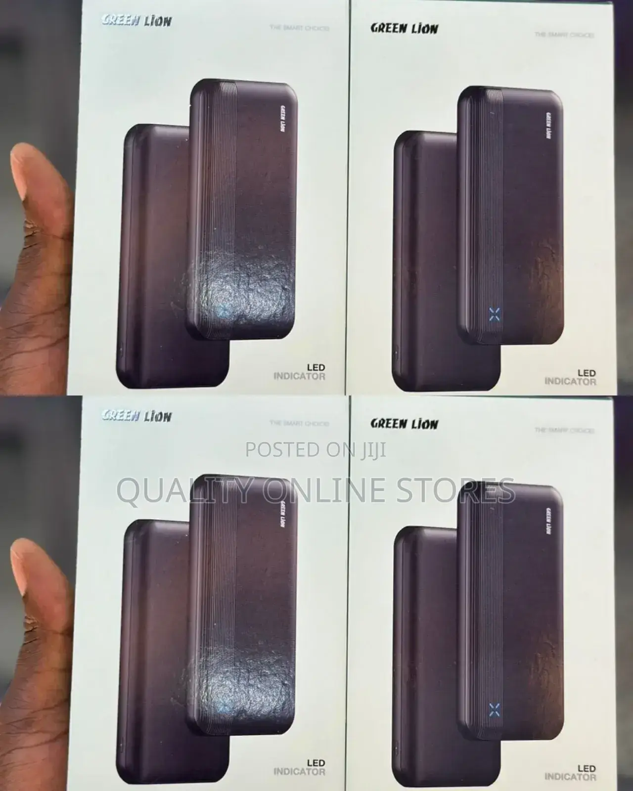 Green Lion Power Bank