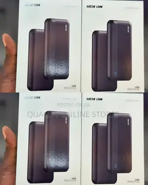 Green Lion Power Bank