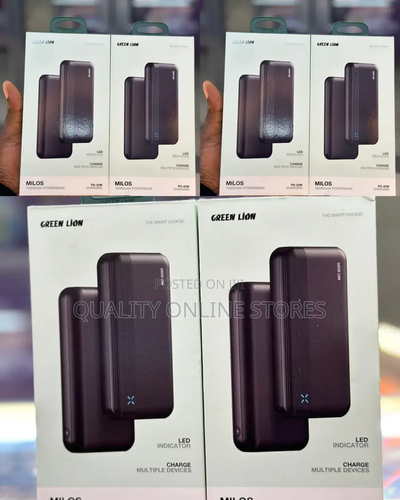 Green Lion Power Bank