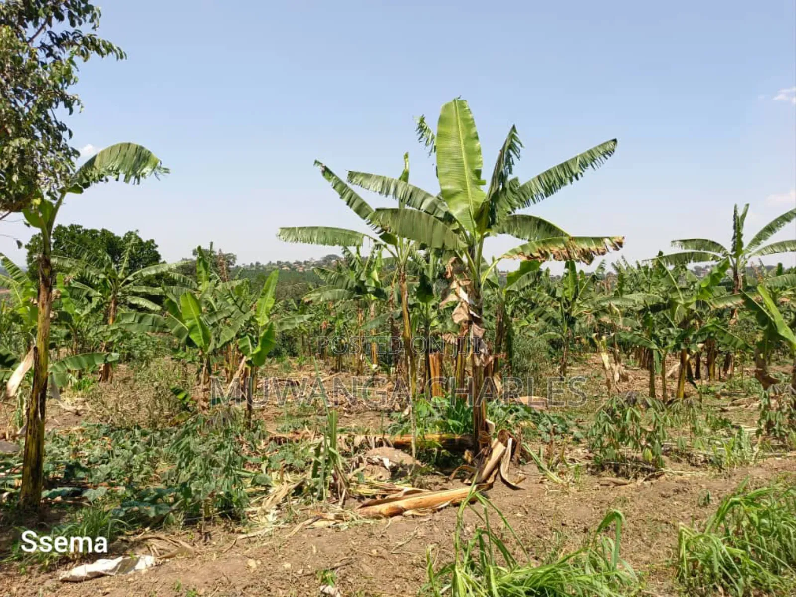 Plot for Sale in Gayaza Masoli