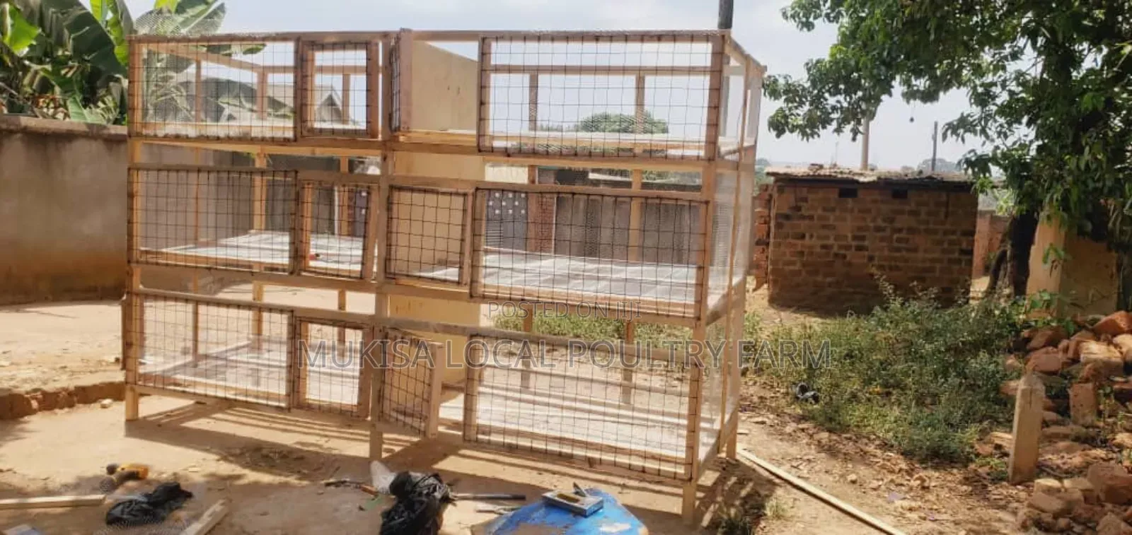 Adult Quails Cages All Sizes