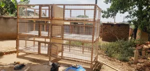 Adult Quails Cages All Sizes