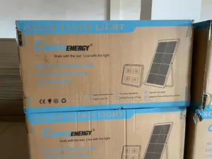 60w Cworth Energy Solar Flood Lights/ Over 25 Years Lifespan
