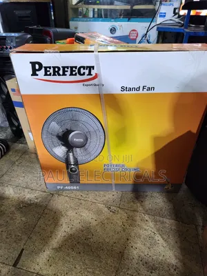 Perfect Stand Fan