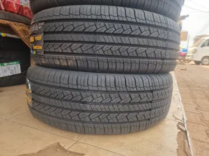 225/65r17 Forroad Tires for Harrier.