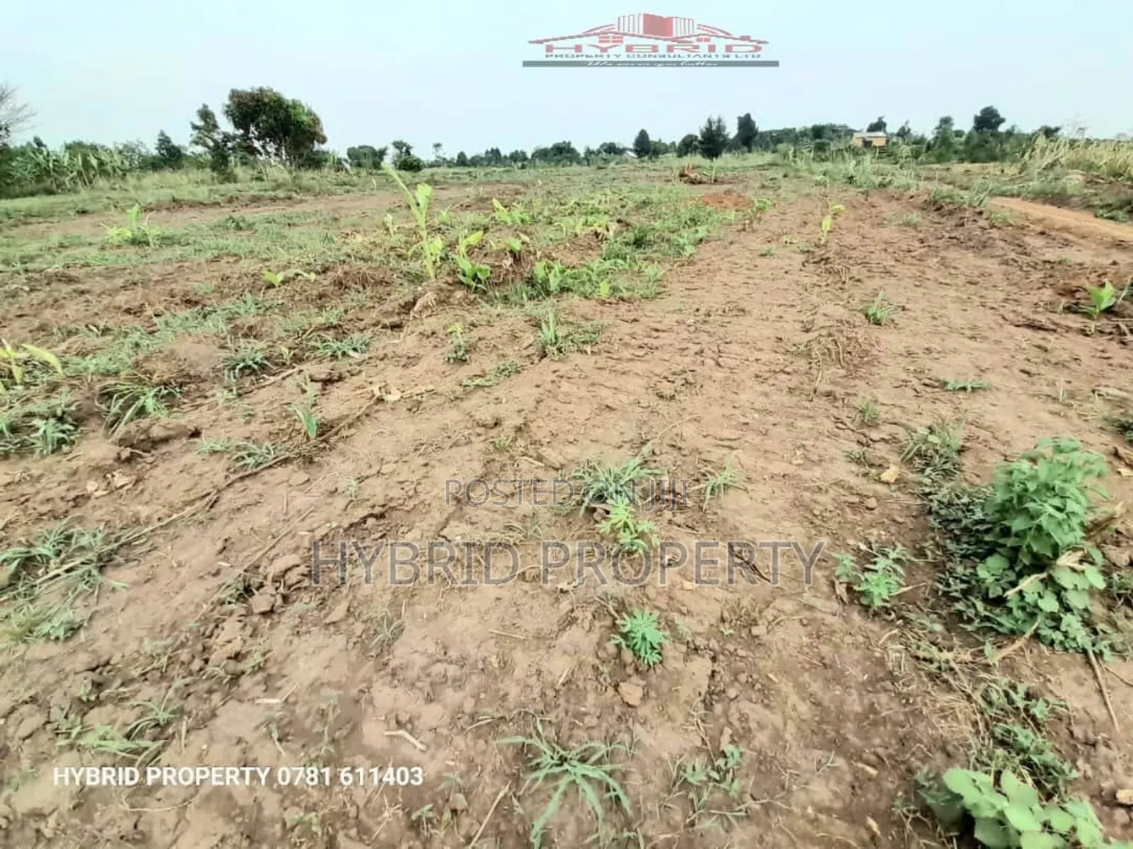 Prime Plots for at Kakiri~Kikugi Divine Land Estate~Hoima Rd