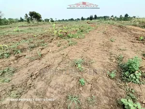 Prime Plots for at Kakiri~Kikugi Divine Land Estate~Hoima Rd