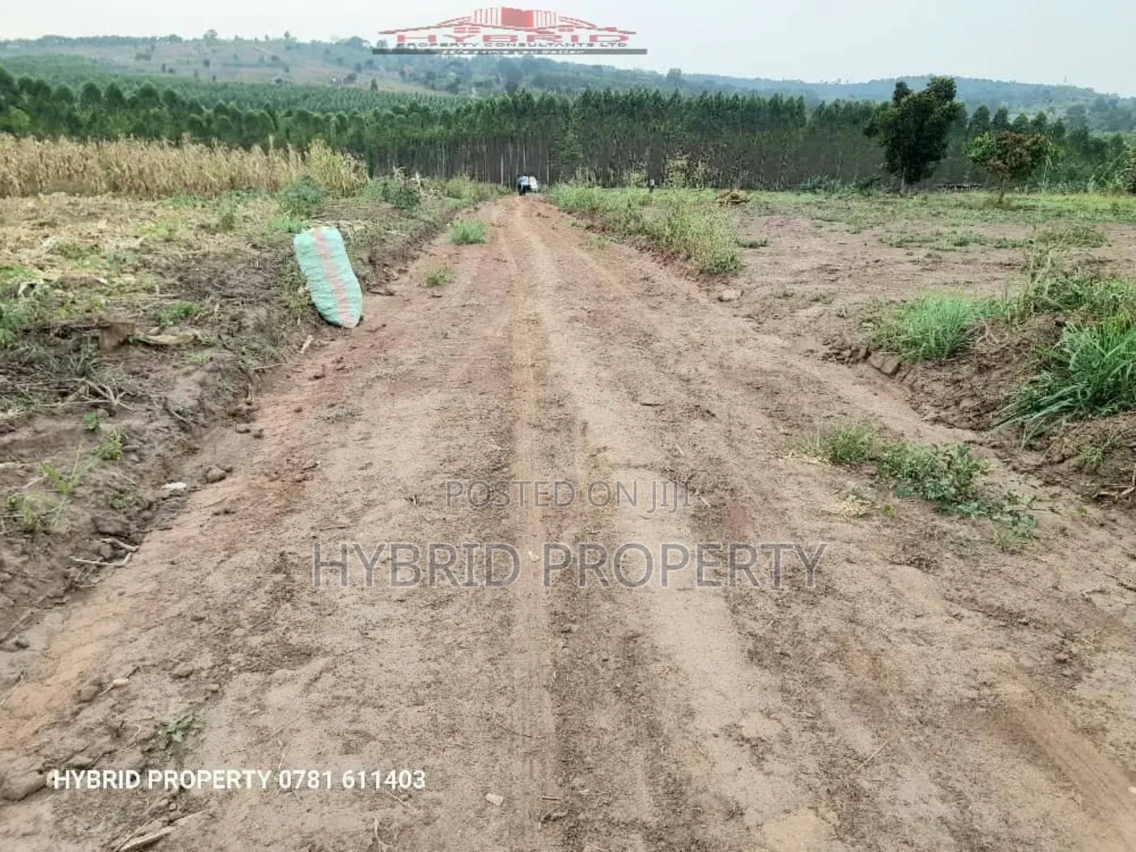 Prime Plots for at Kakiri~Kikugi Divine Land Estate~Hoima Rd