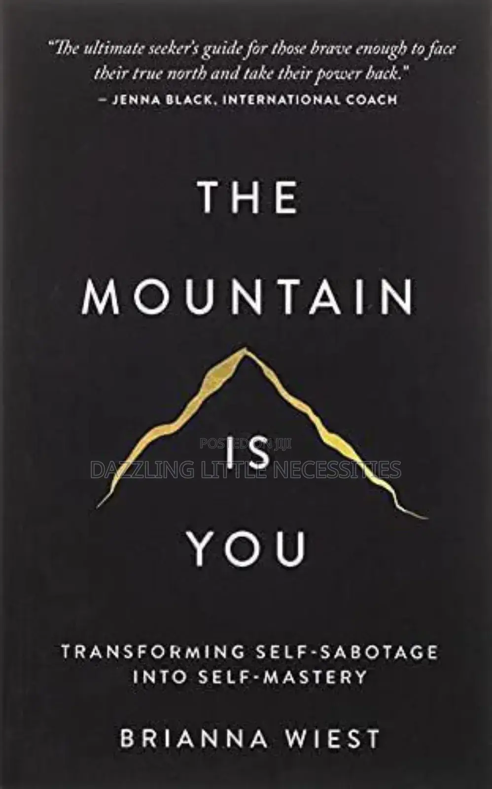 The Mountain Is You Ebook