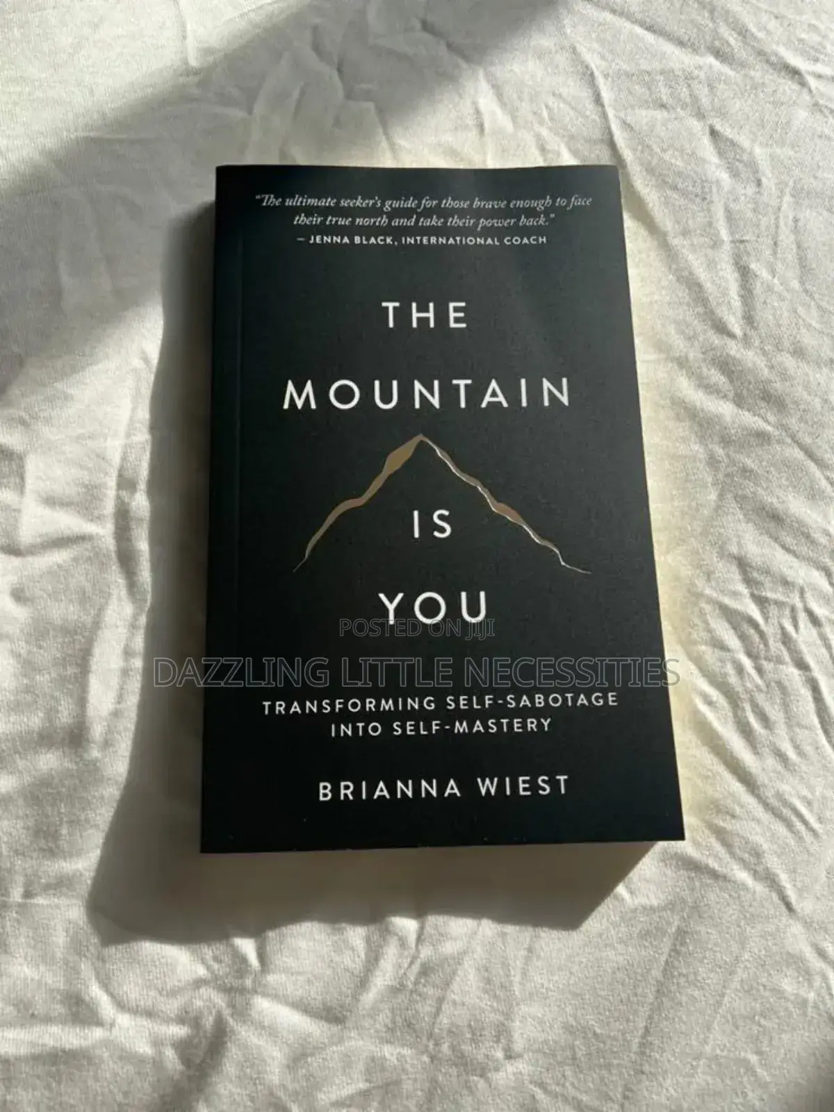 The Mountain Is You Ebook