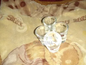 Whiskey/ Shots Glasses